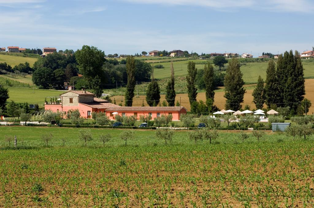 Agriturismo Casale Le Selvette Ripa Exterior photo