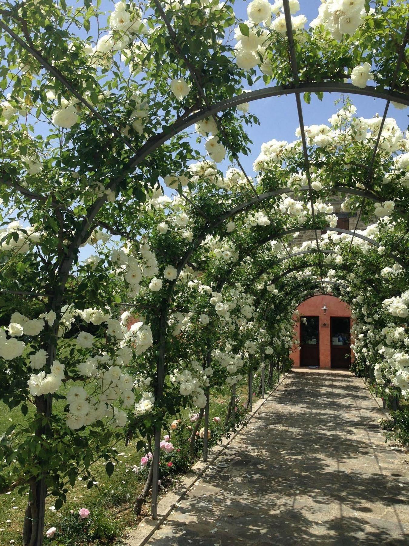 Agriturismo Casale Le Selvette Ripa Exterior photo
